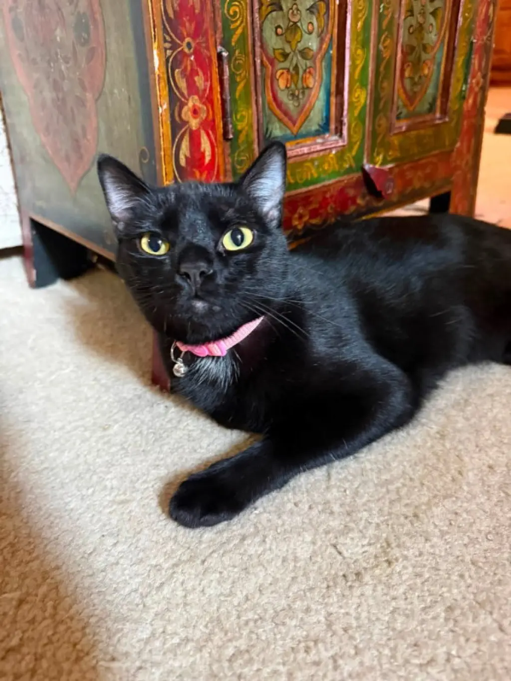 Equinox