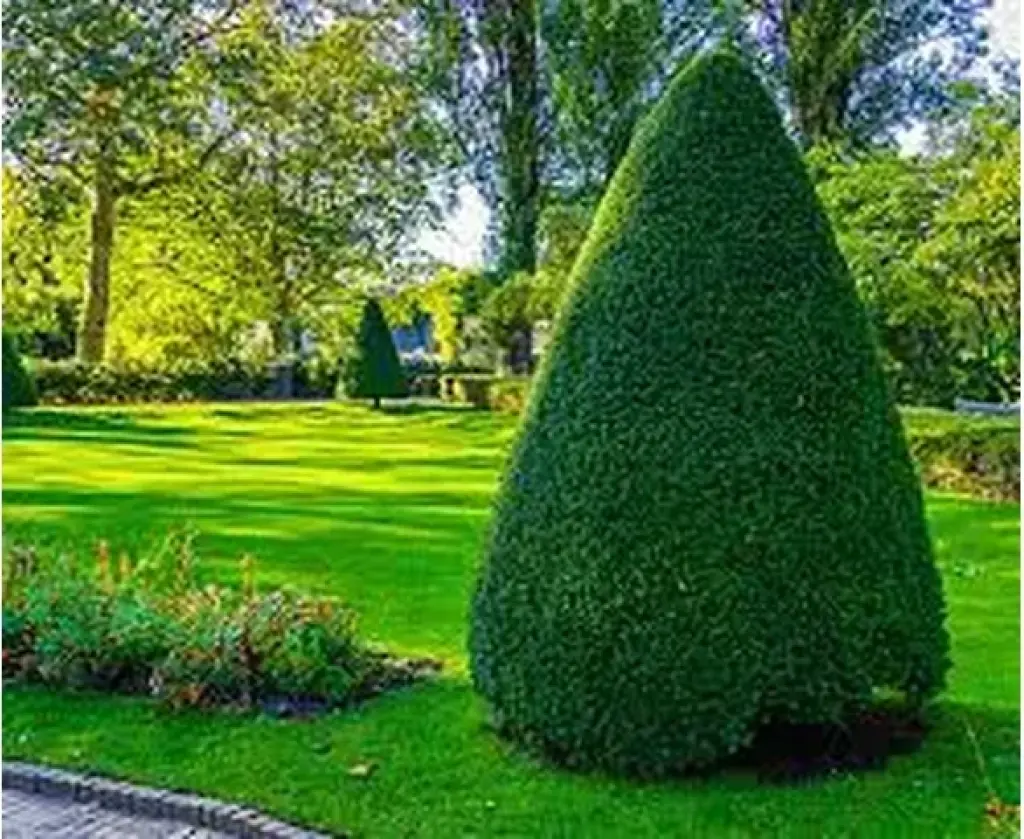 podador de arboles jardineria