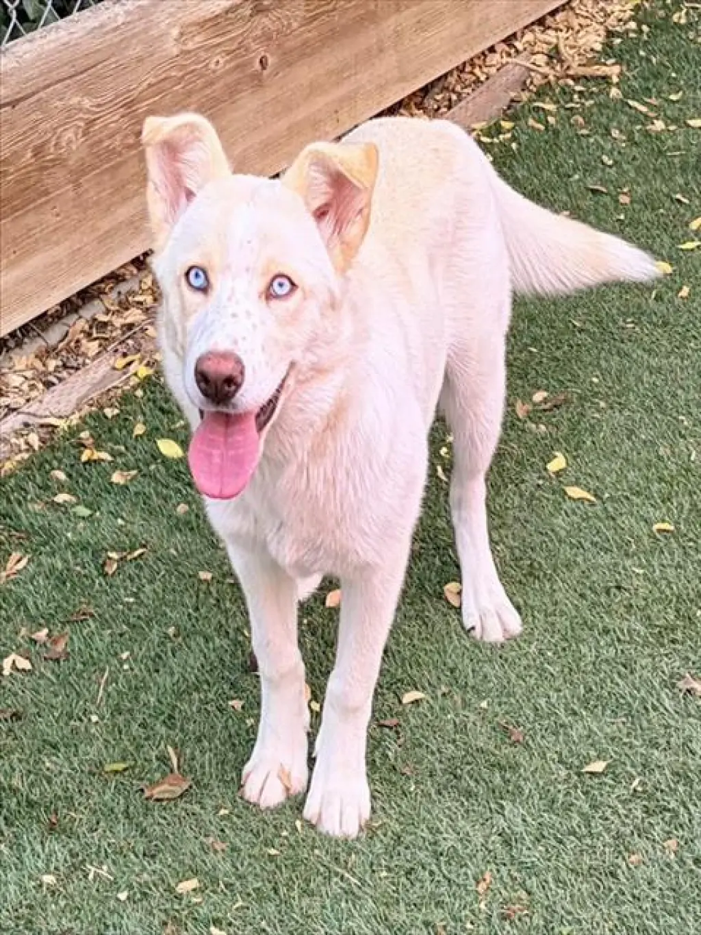 YUKI