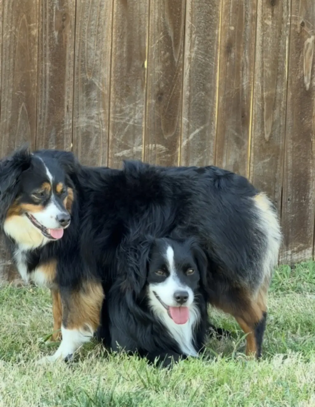 Rayna & Bruno