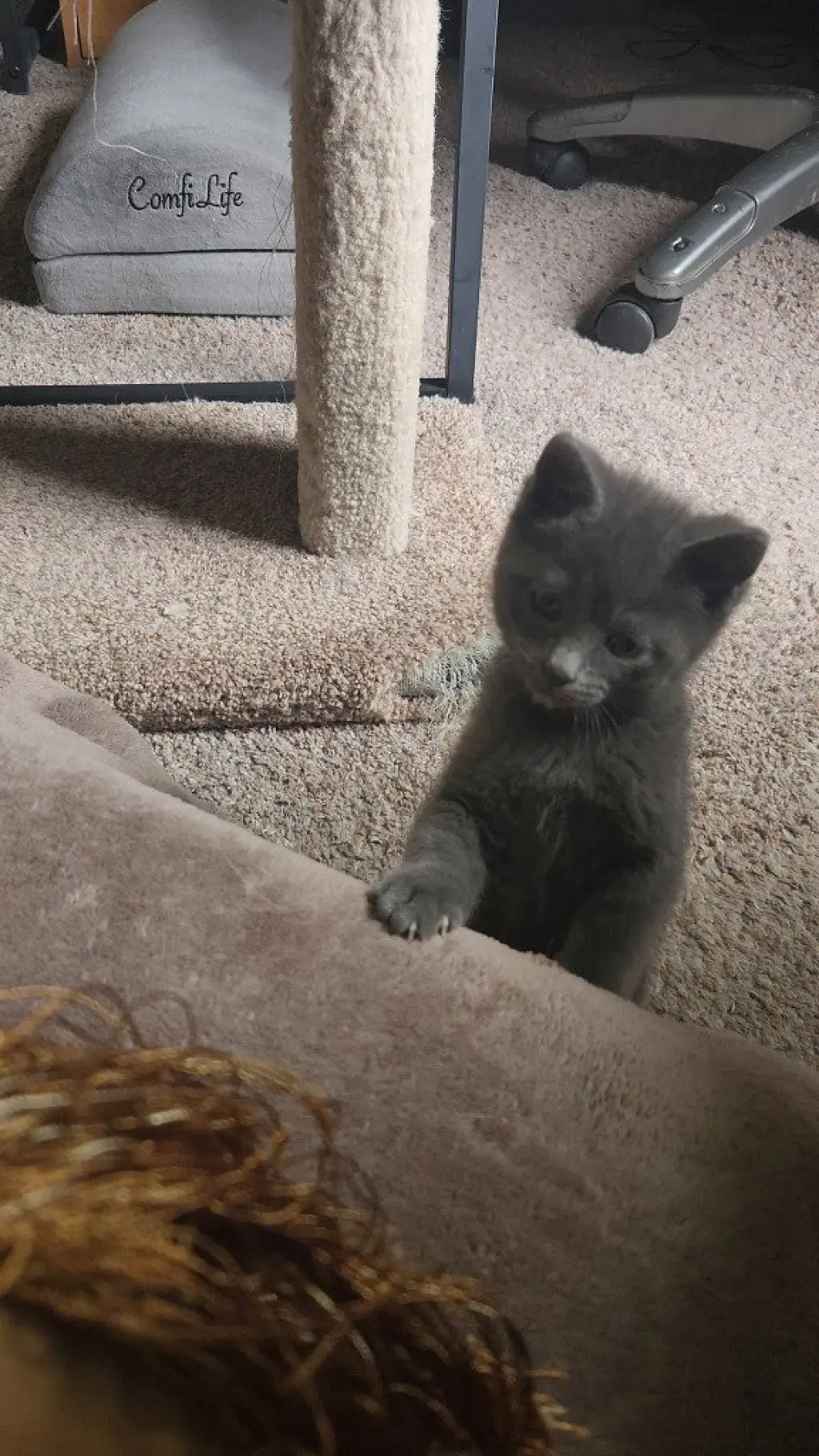 Nacho