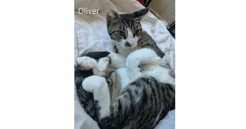 Oliver