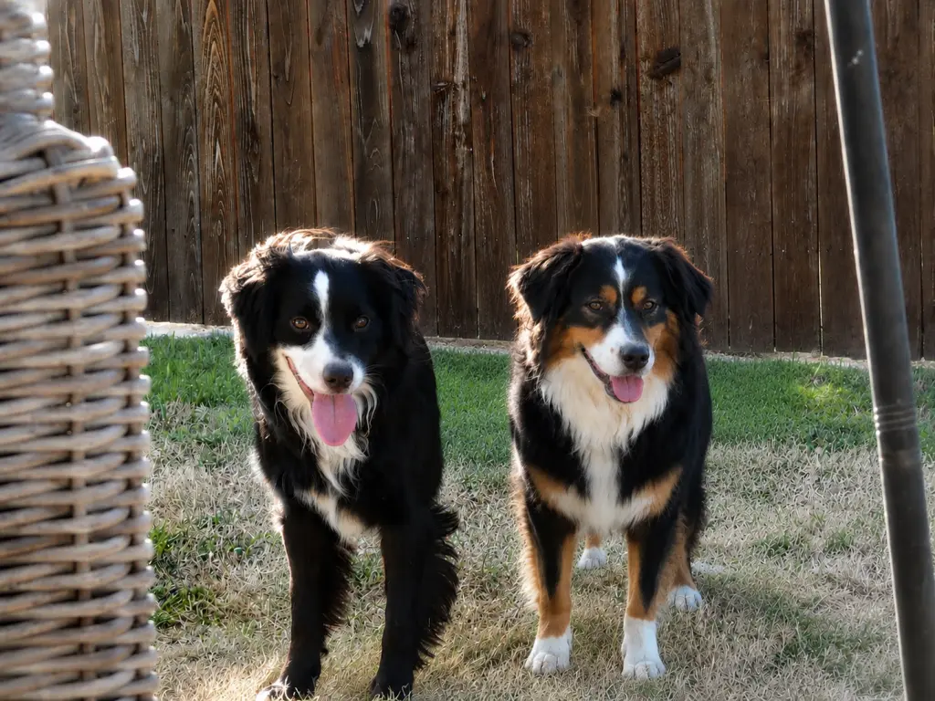 Bruno & Rayna