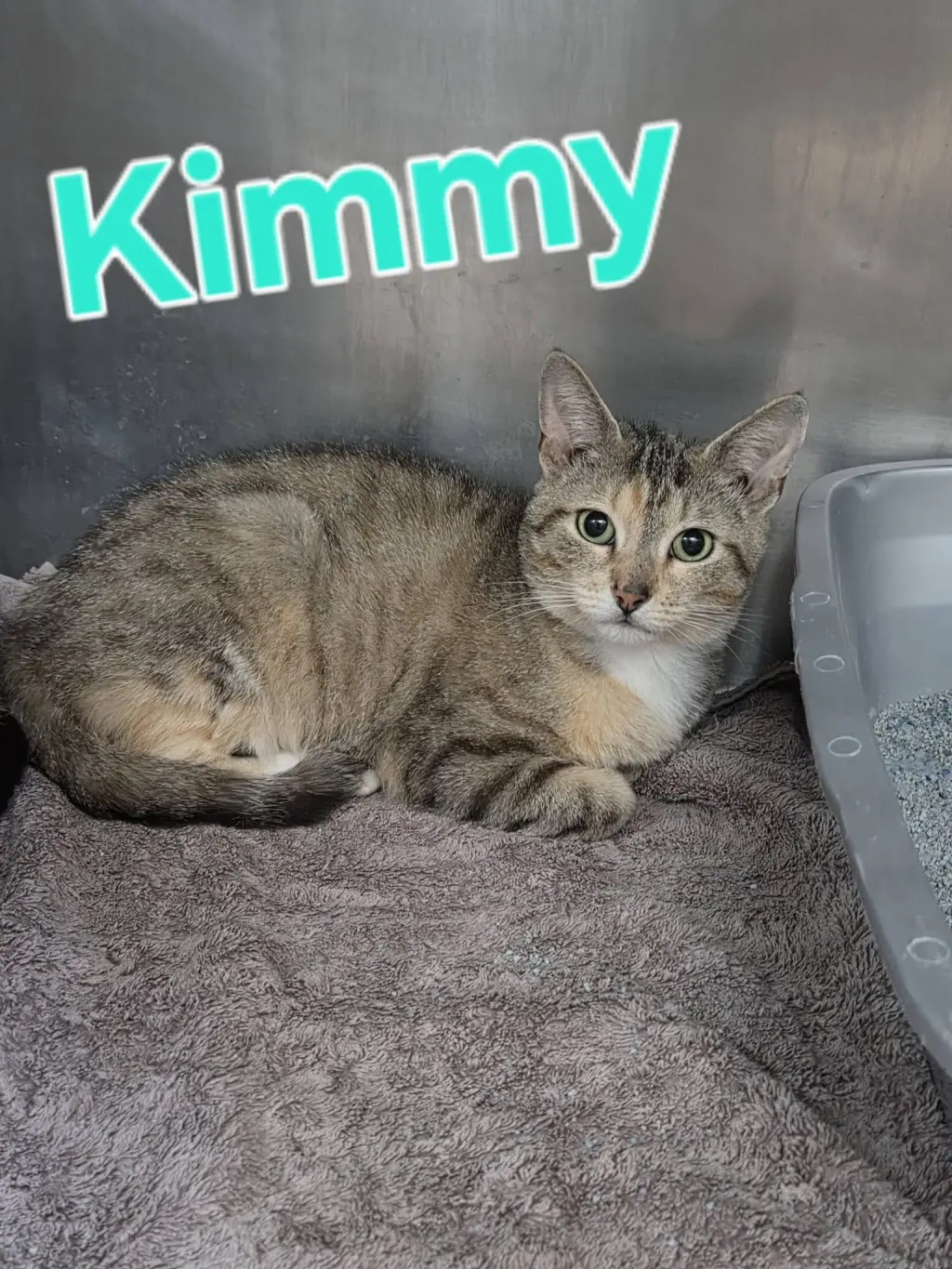 Kimmie