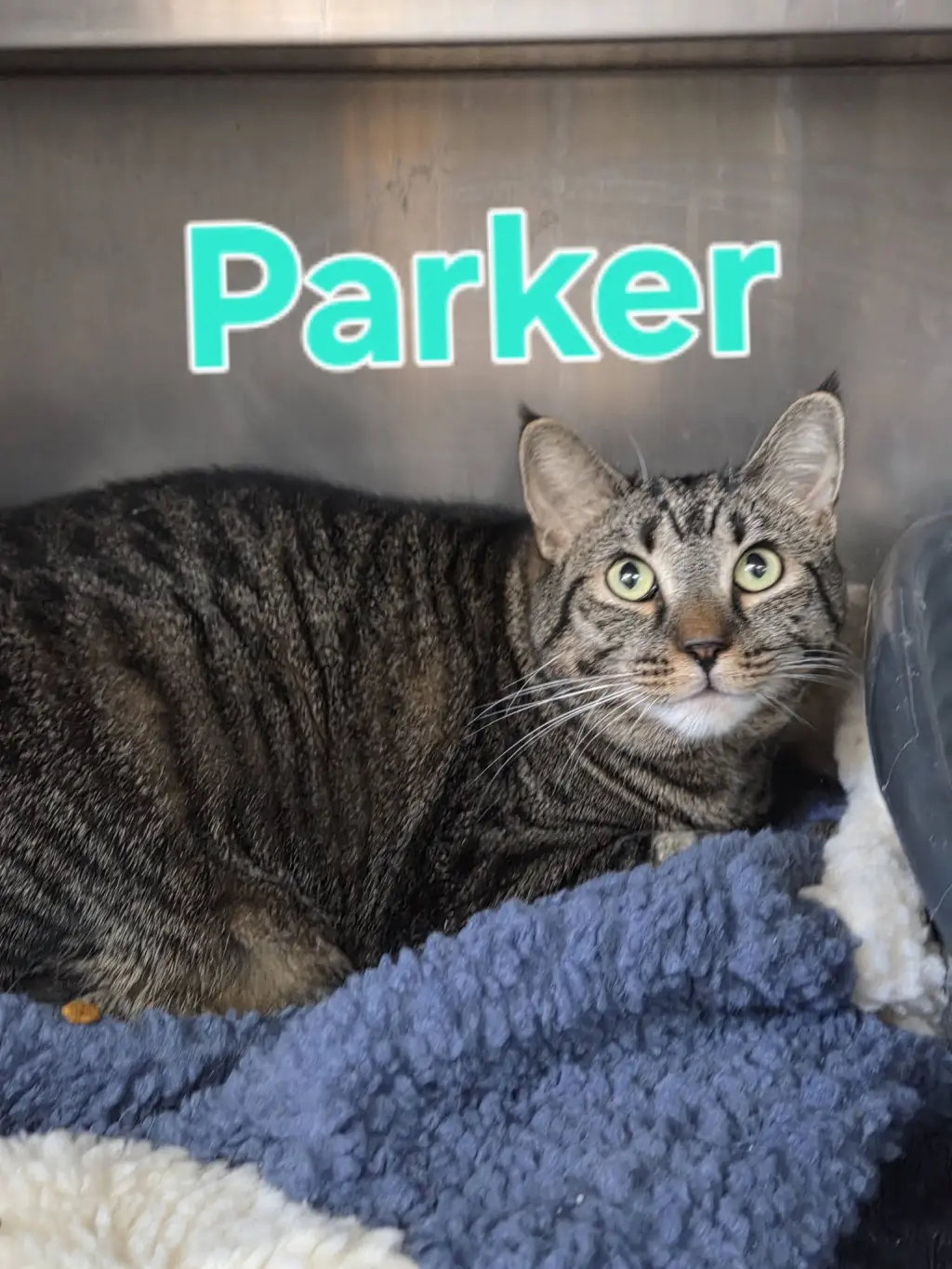 Parker