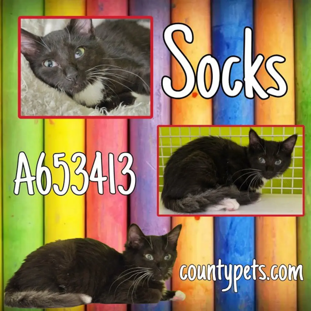 SOCKS