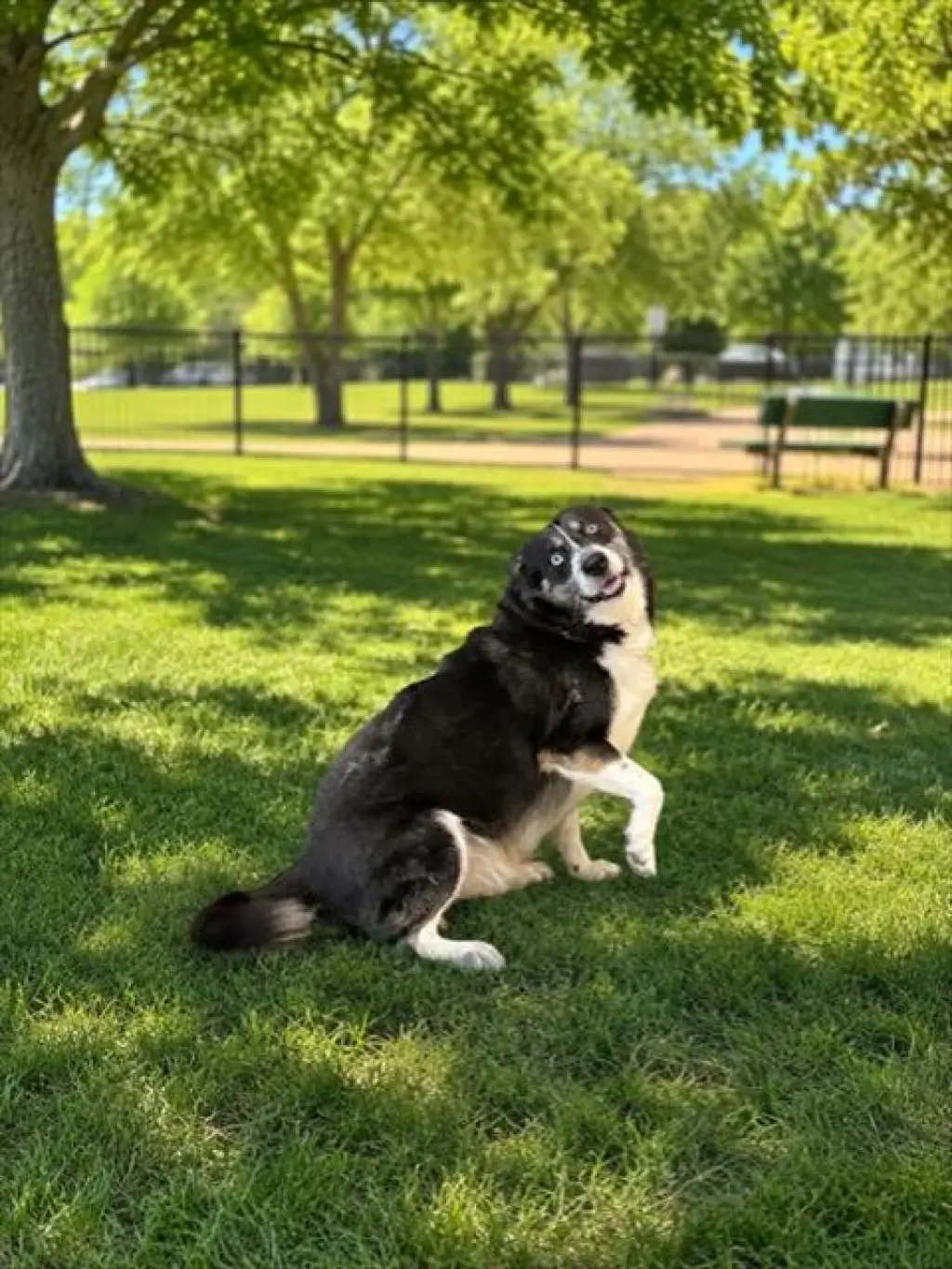 WINSTON