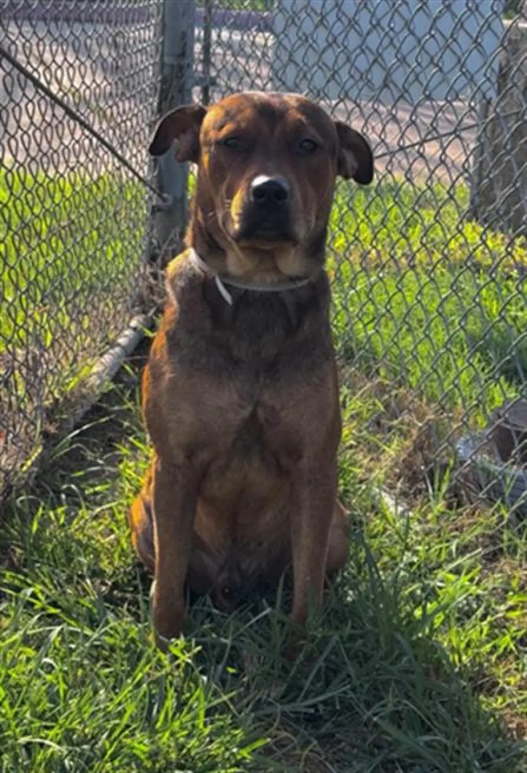 MILO