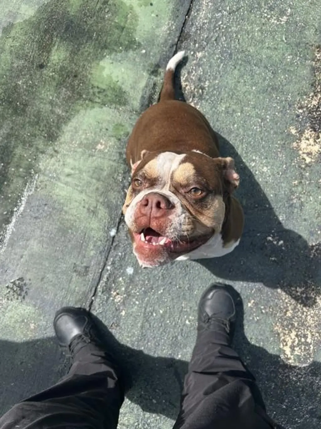 COCO CHANEL