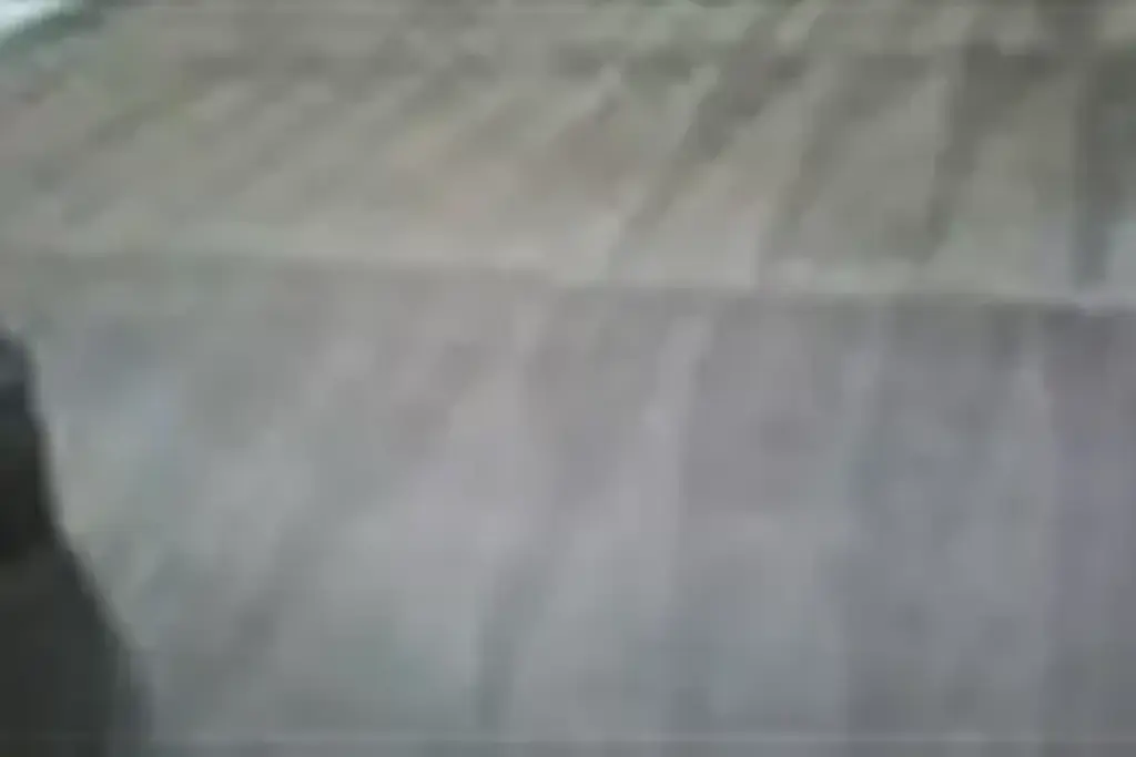 Limpieza De Alfombras.