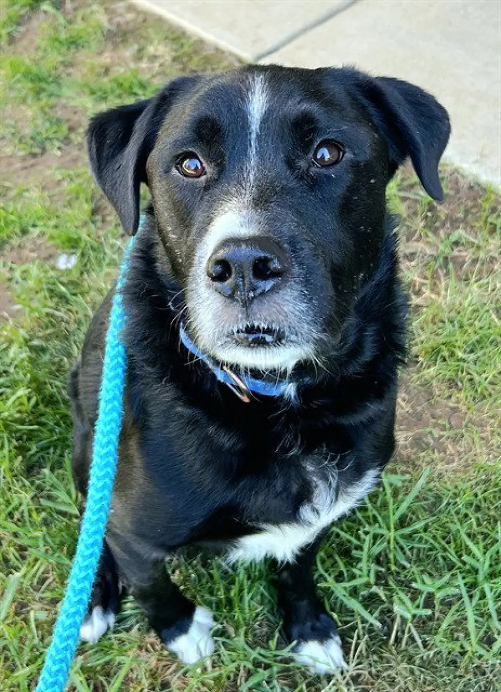 DUKE