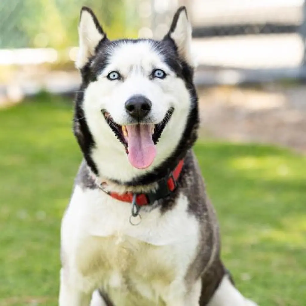 LUNA