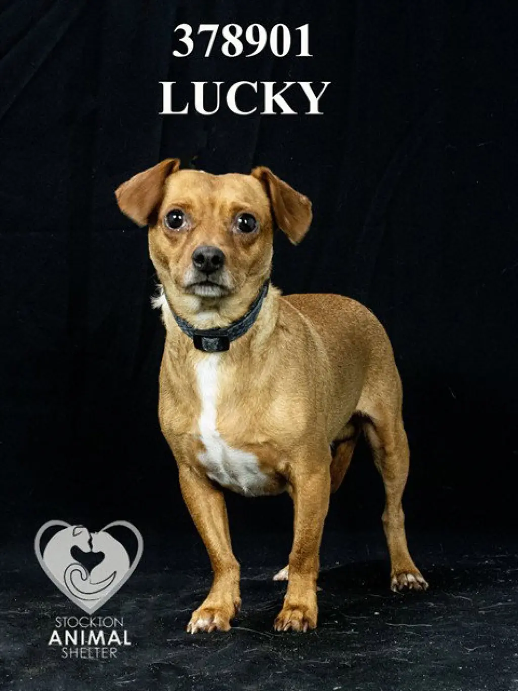 LUCKY