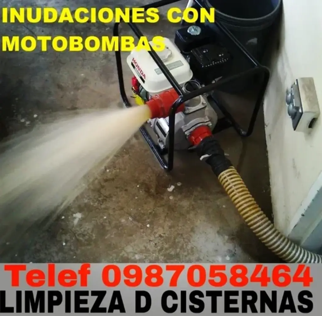 Limpieza en Puembo y Pifo