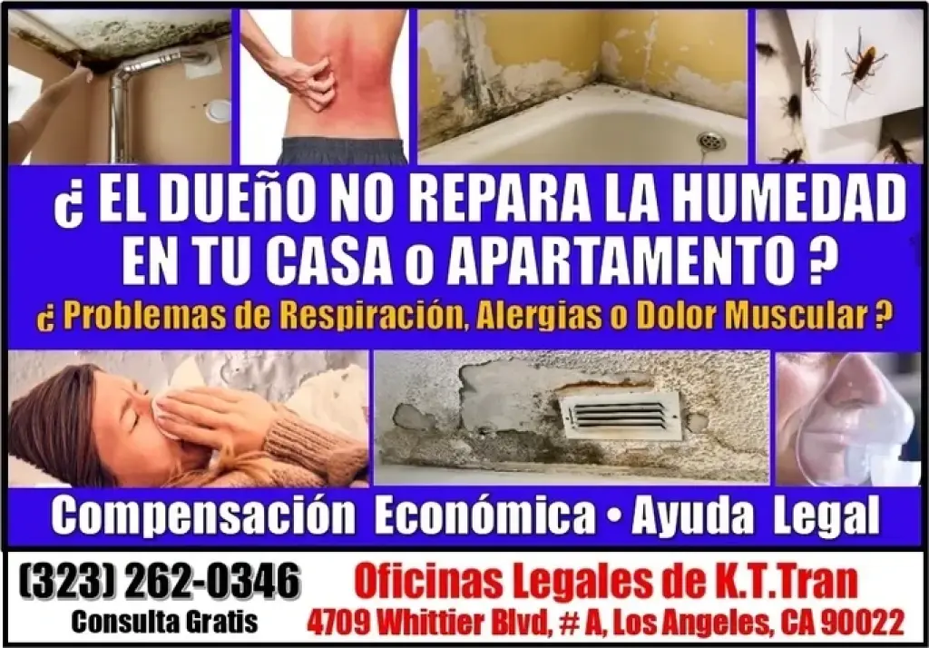 🔥SUFRES HUMEDAD EN TU CASA 📞