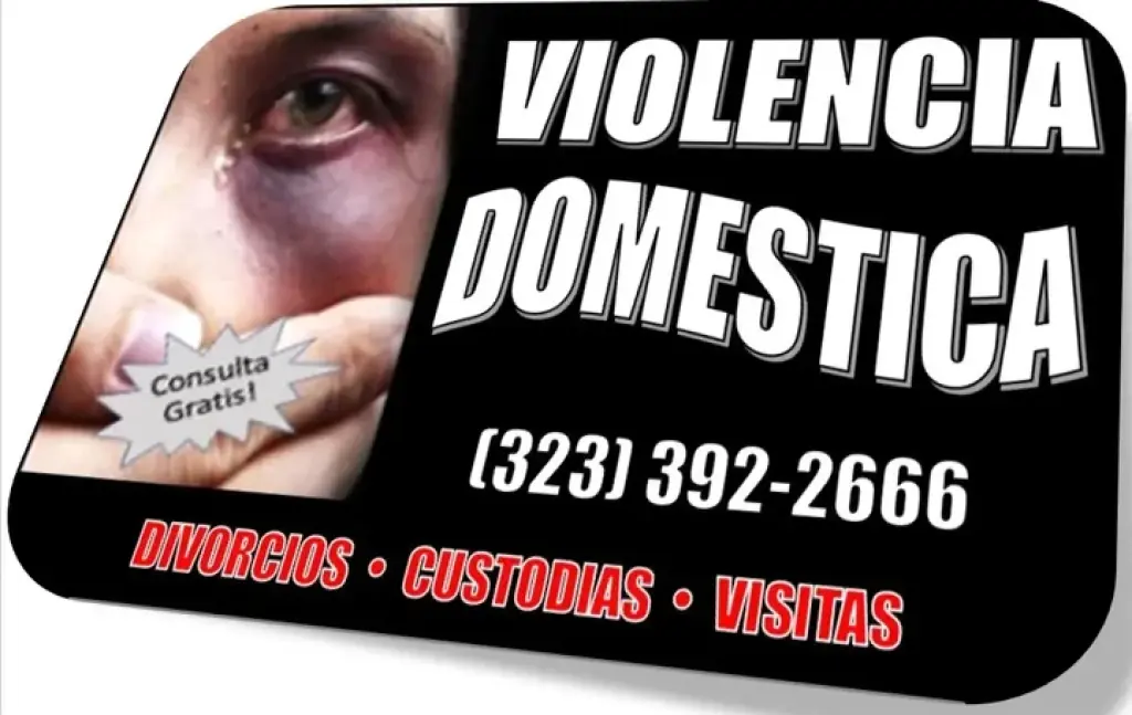 █►DIVORCIO►CHILDSUPPORT►VISITA