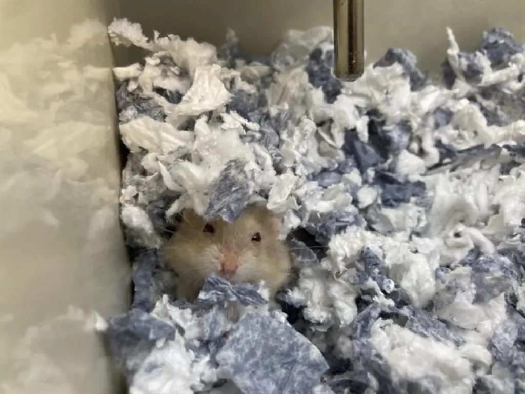 MARILL