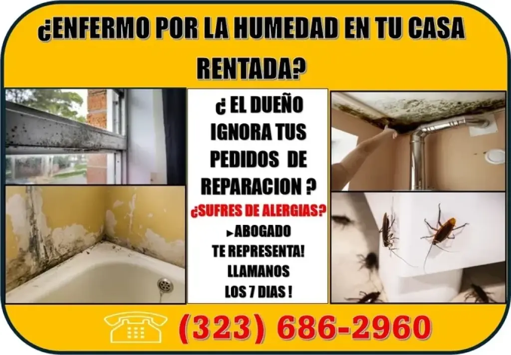 🔥ESTAS ENFERMO POR LA HUMEDAD