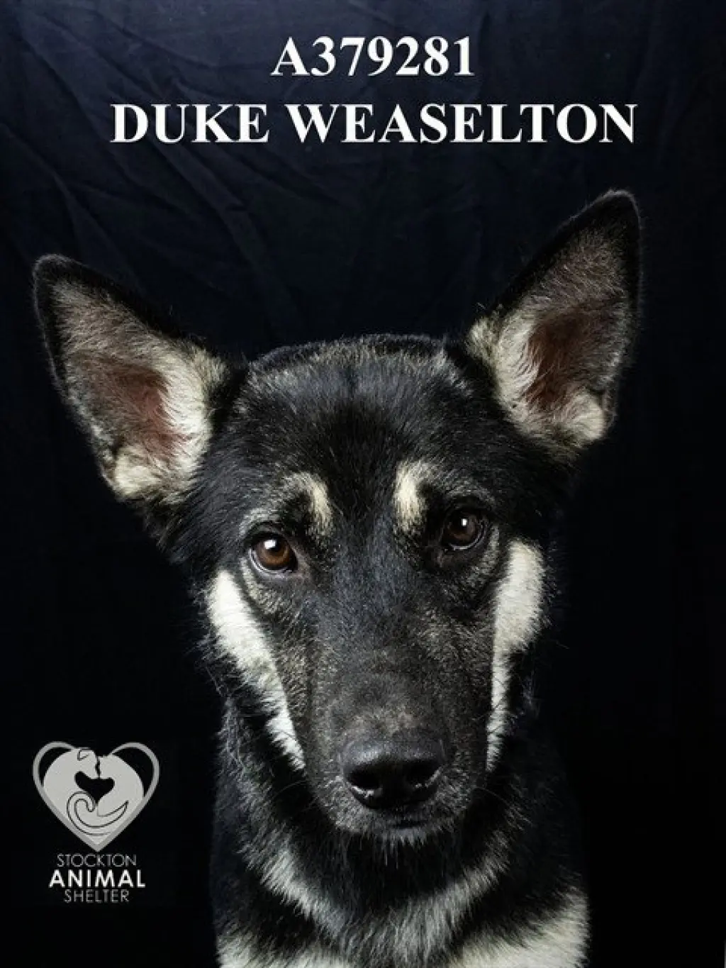 DUKE WEASELTON