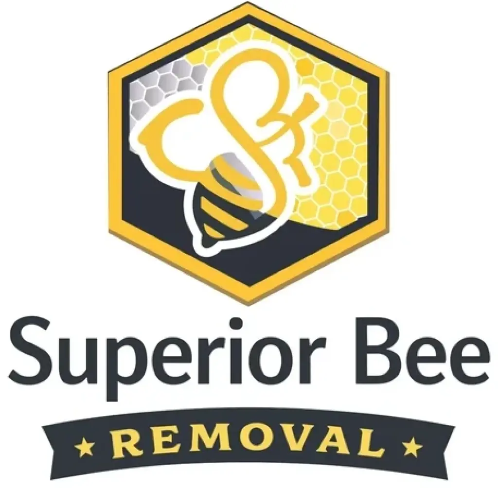¡RESCATE Y REMOCIÓN DE ABEJAS!