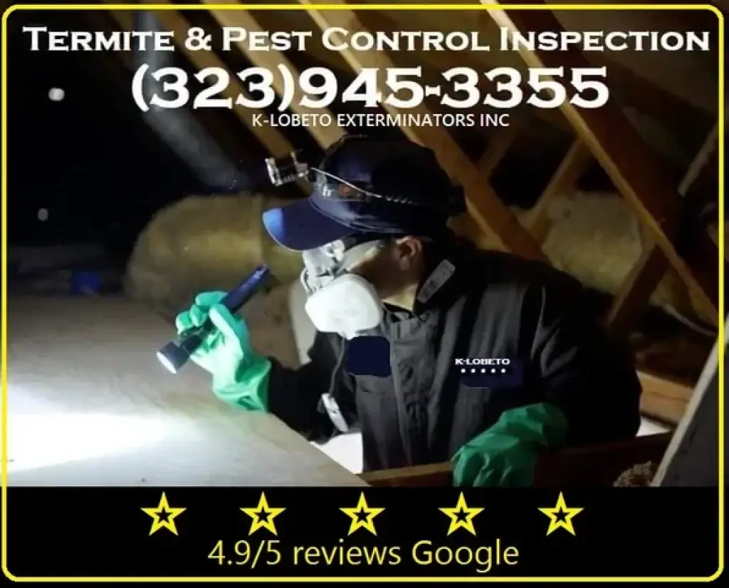 FUMIGATION ALL LOS ANGELES.-