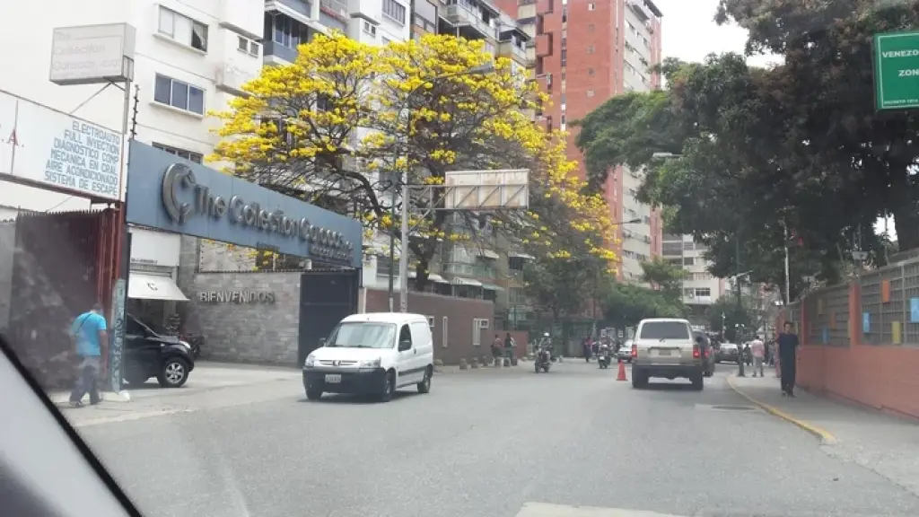YES LOS RUICES. DIRECTO DUEÑOS