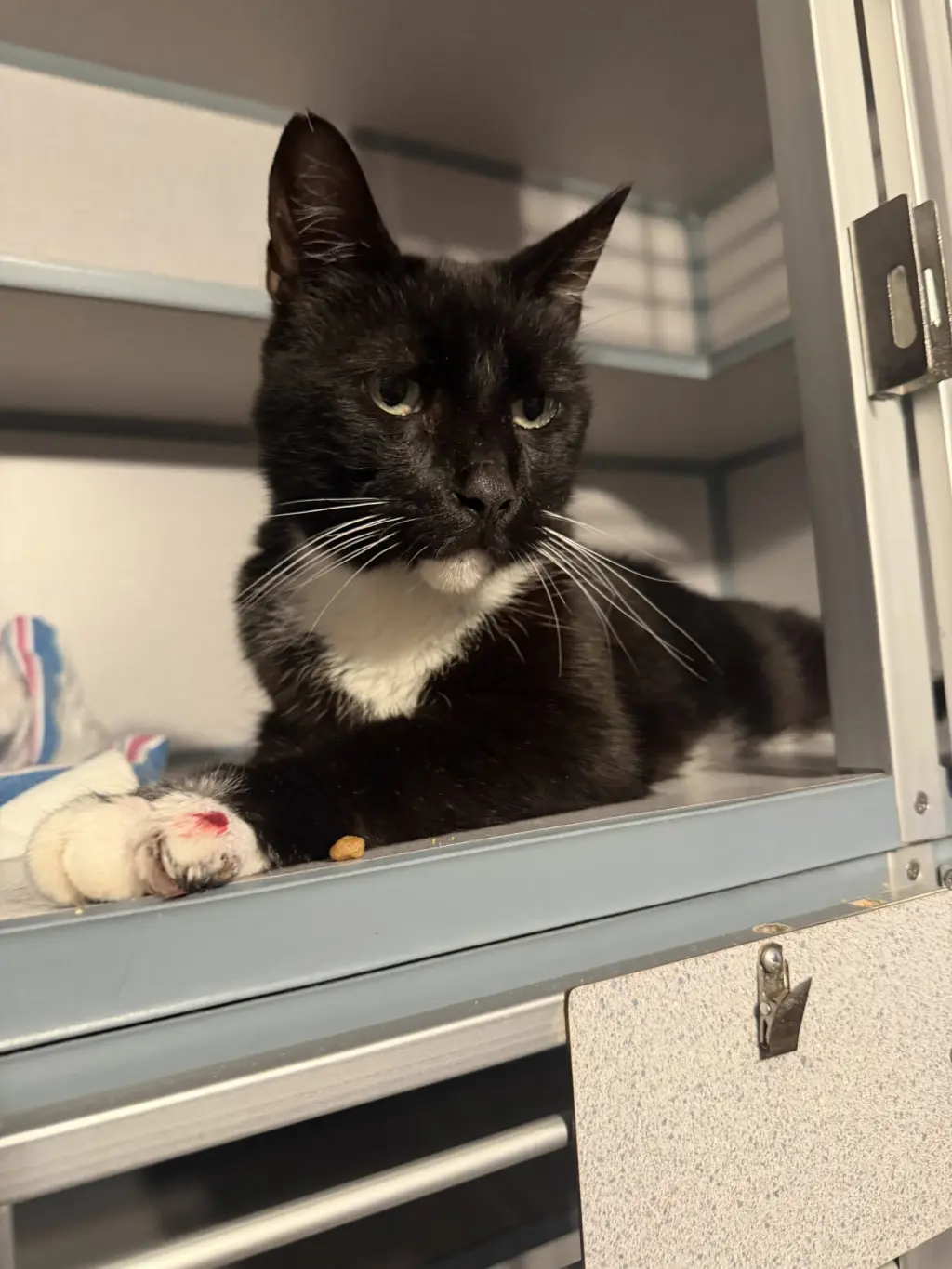 Sebastian