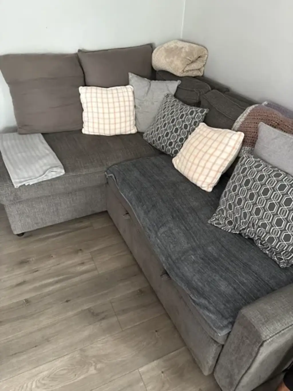 LIMPIEZA DE SOFAS Y TAPETES