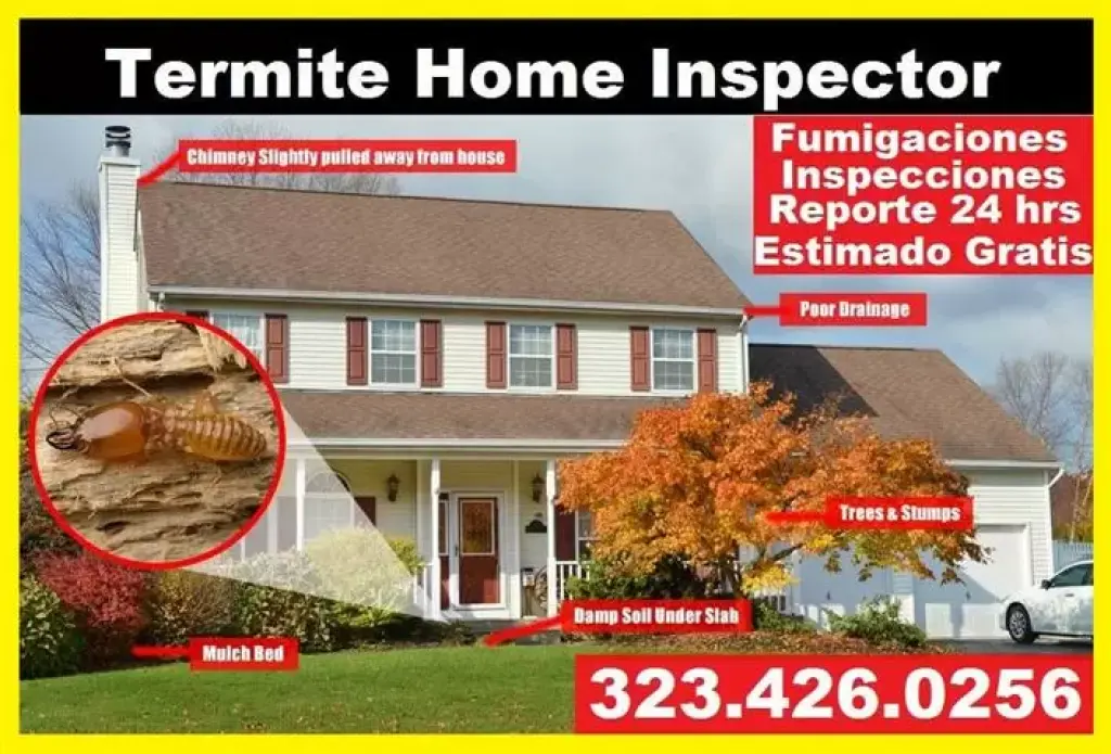 PROTEGE SU CASA DE TERMITAS.