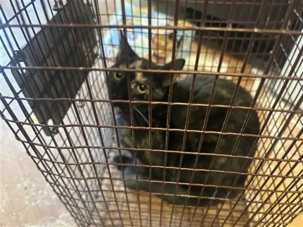 A659608