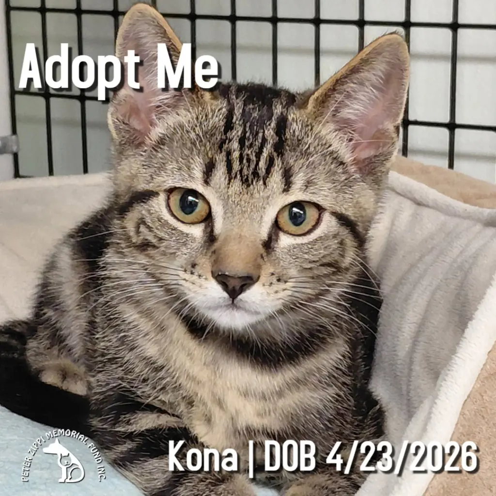 Kona