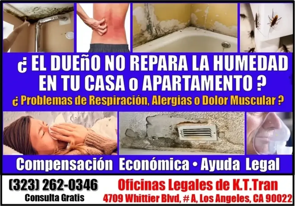 🔥HUMEDAD EN CASA? ENFERMO? 📞