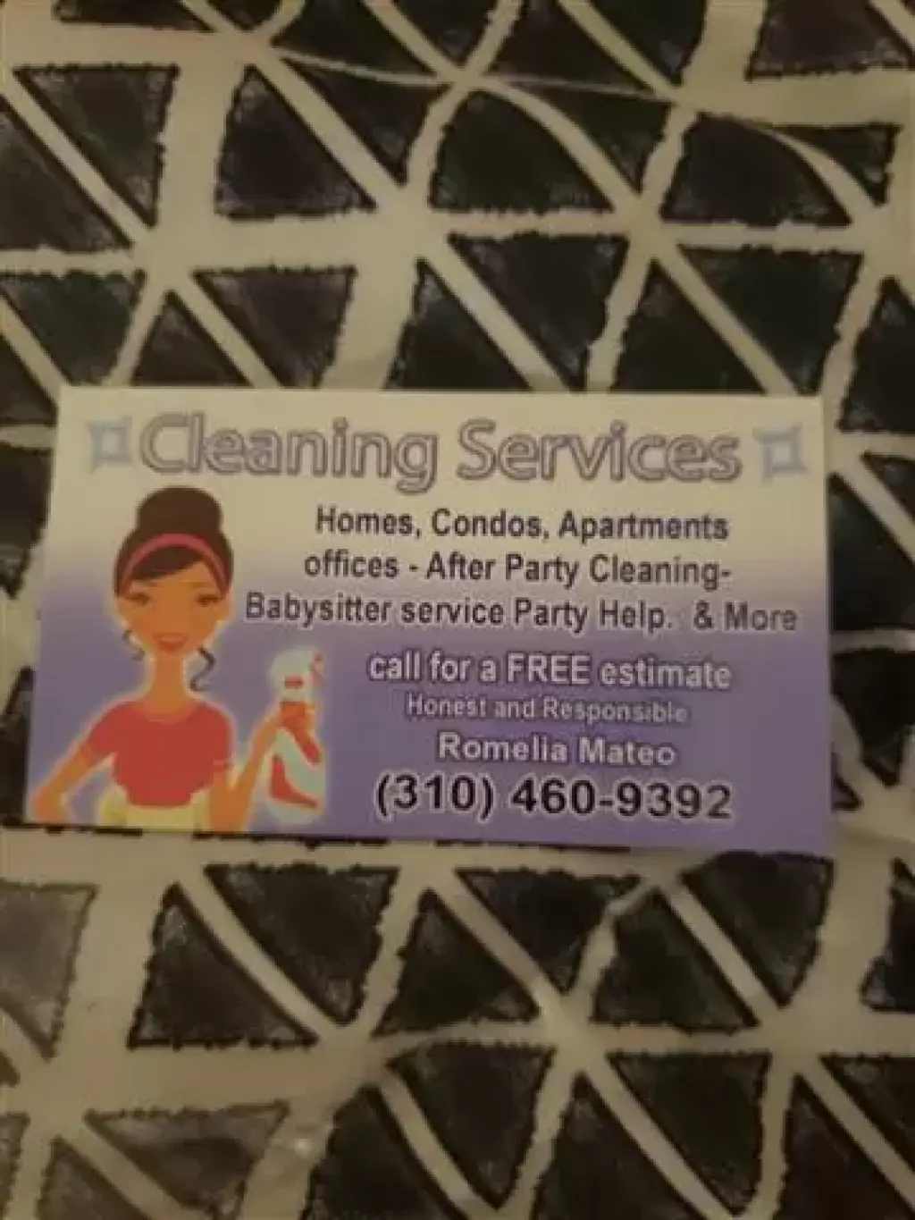 Cleaning Services
