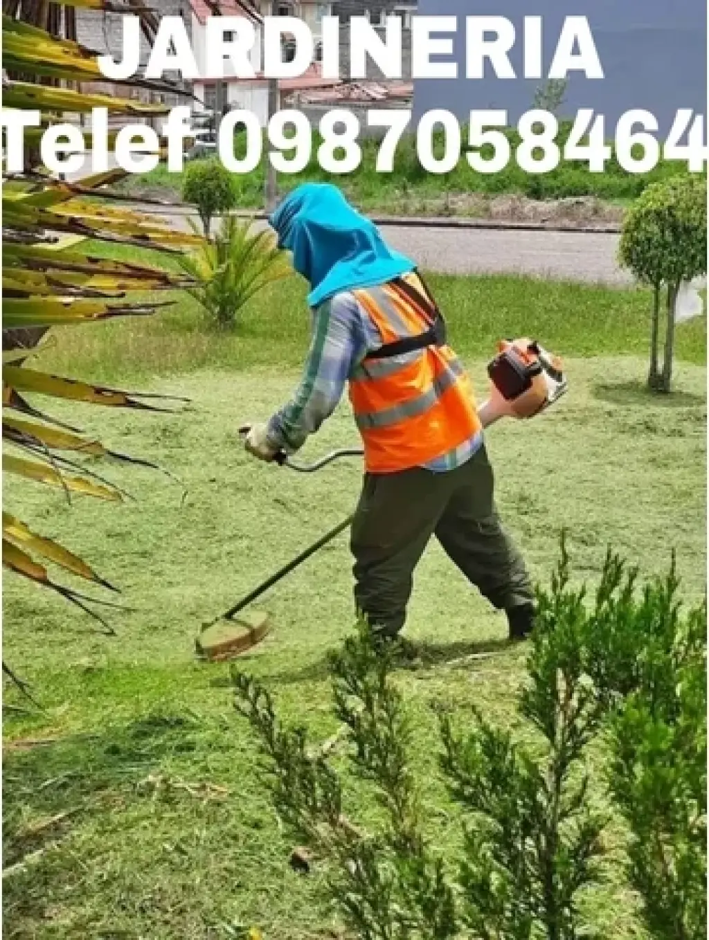 Fumigaciones Quito Tel 2428098