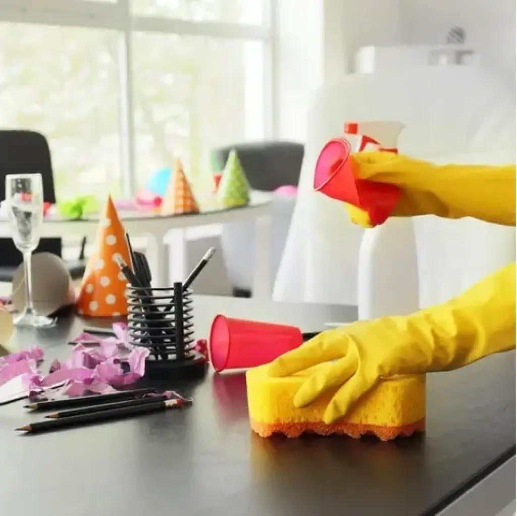 Yesenia Solano Cleaning