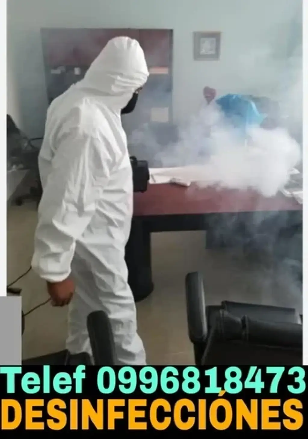 Control de plagas en Quito