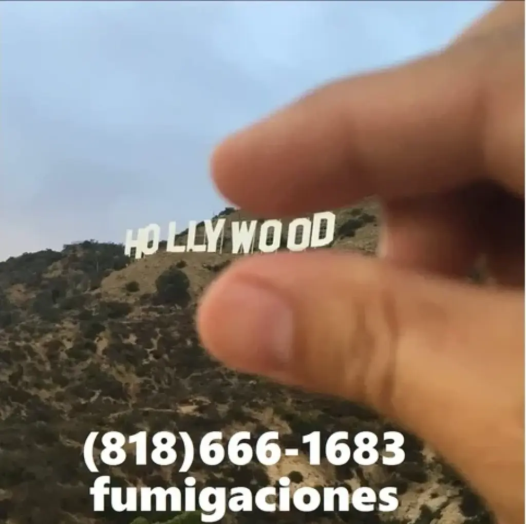 HOLLYWOOD FUMIGATIONS' 24/7