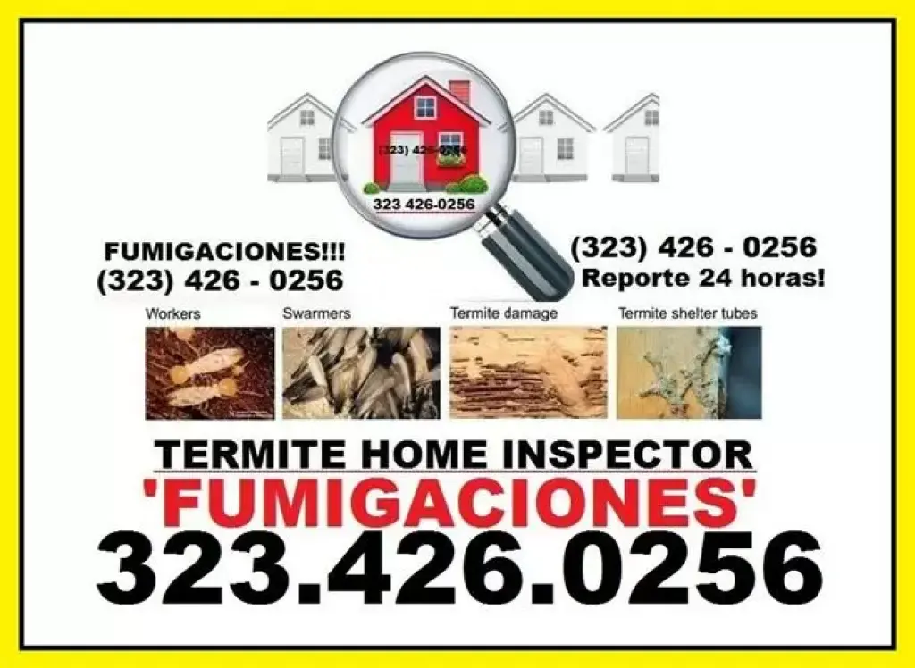 CONTROL EFECTIVO DE TERMITAS