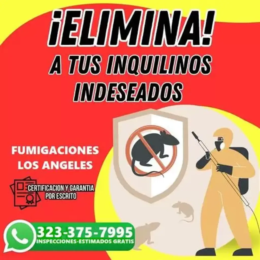 FUMIGACIONES EL MISMO DIA 24/7