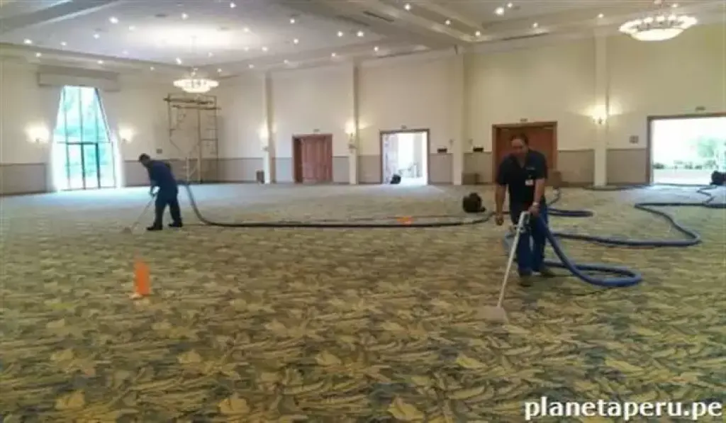 Limpieza de alfombras al seco