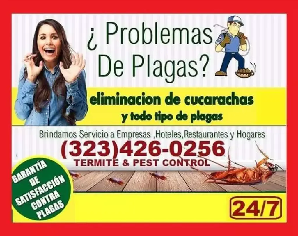 FUMIGACIONES PLAGAS TERMITAS