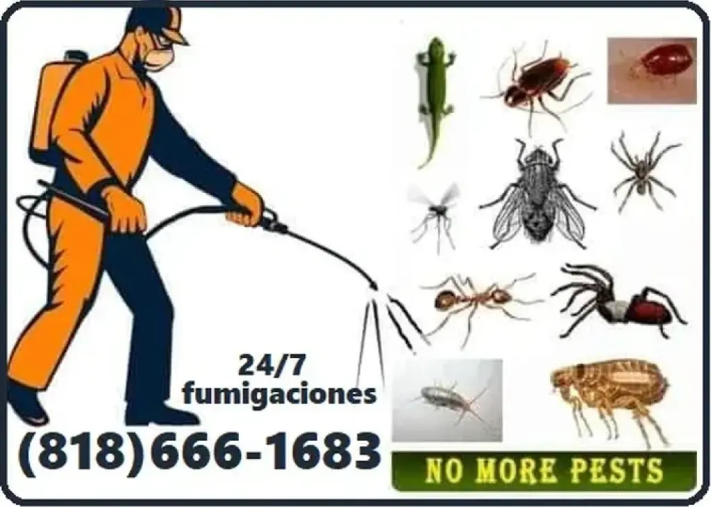 FUMIGACION TERMITA PLAGAS 24/7