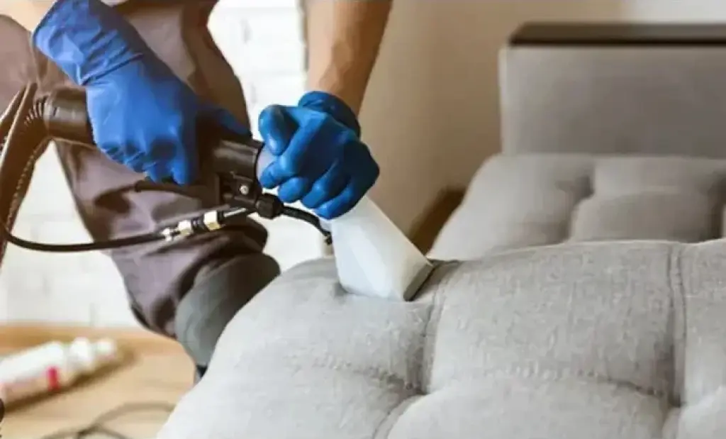 CARPET CLEANING