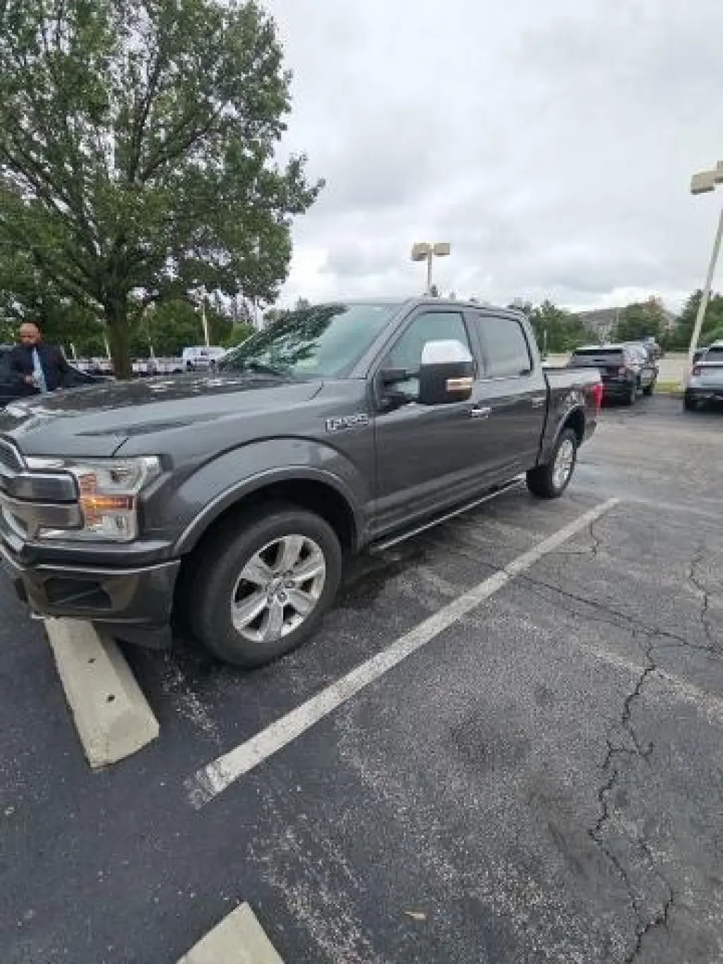 Ford F-150 2019 4x4 Platinum 4dr SuperCrew 5.5 ft. SB