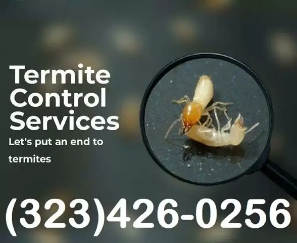 TERMITE CONTROL NEAR ME 24/7.-