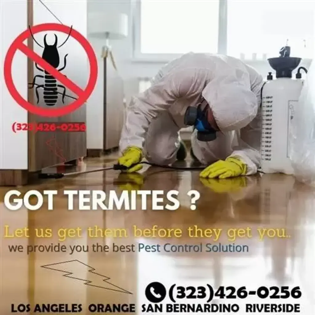 TERMITE-PEST CONTROL 24/7 L.A.