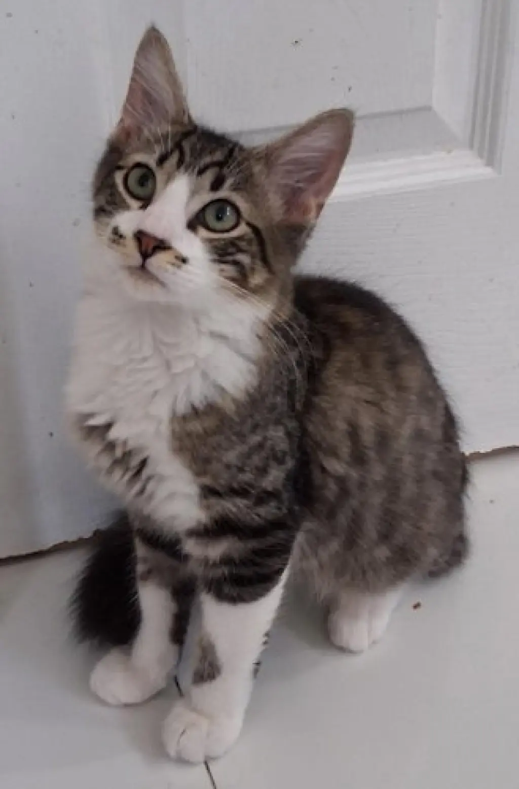 Zeek - PSP Foster Home
