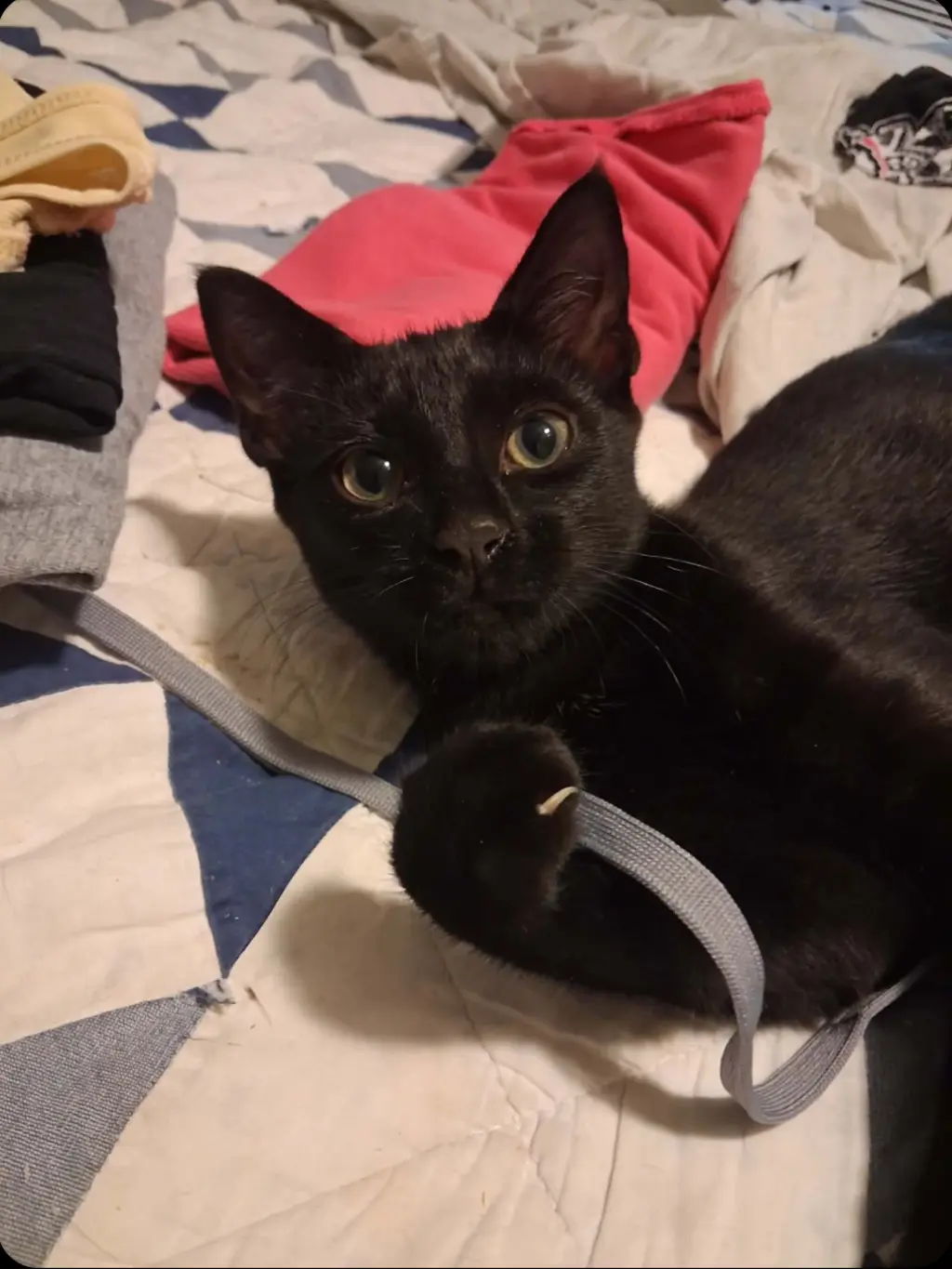 Ernest & Cecil