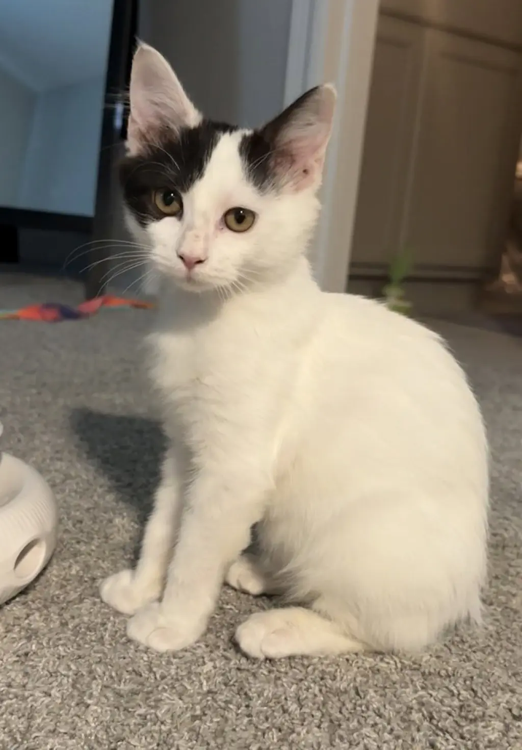 Tabasco