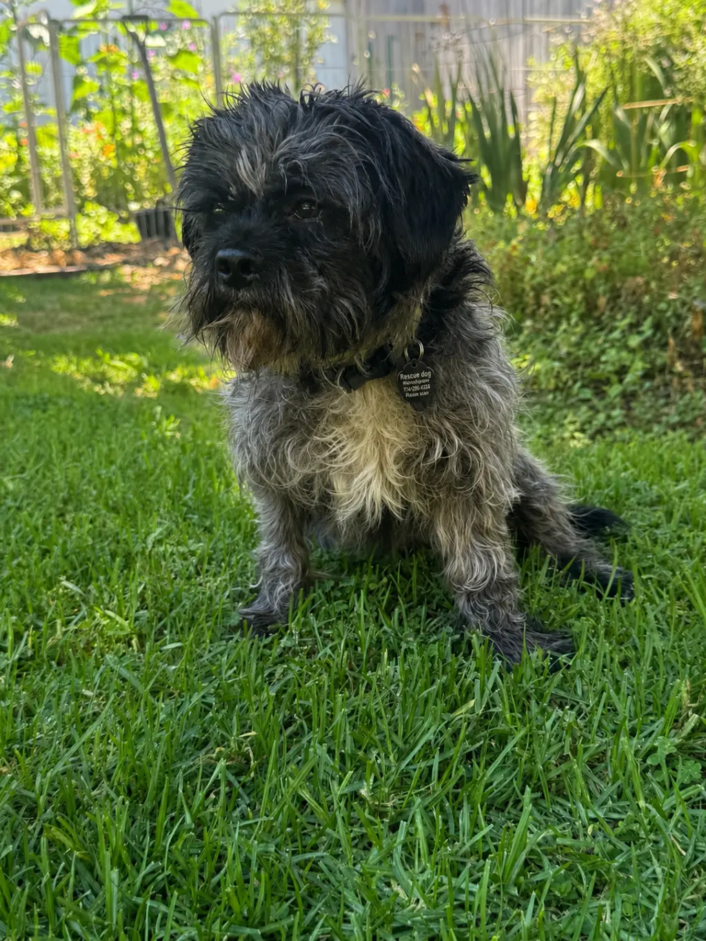 Oscar